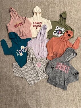 Multiple Brand Hooded Sweatshirt Bundle